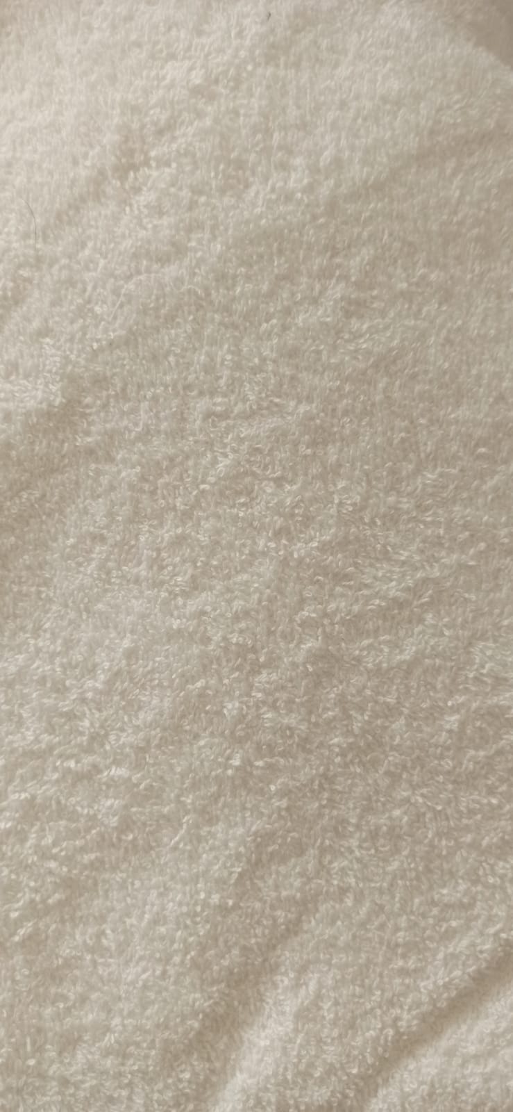 Tela de toalla rizo blanca certificado Oeko-Tex - ancho 1,55 m